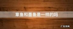 章鱼和墨鱼是一样的吗图片 章鱼和墨鱼是一样的吗