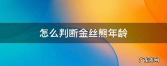 金丝熊年龄对照 怎么判断金丝熊年龄