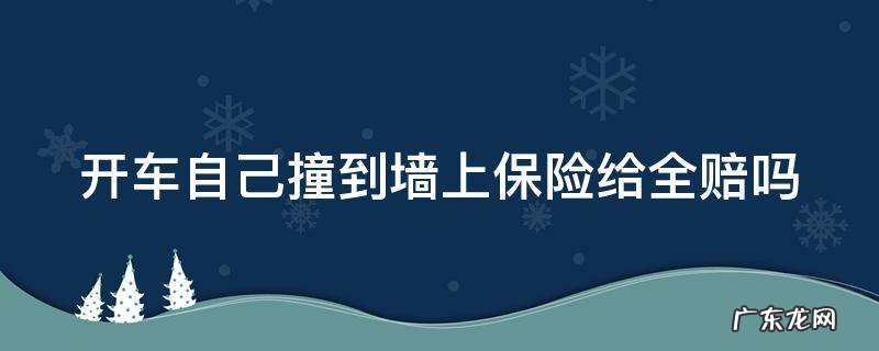 自己开车撞上墙了保险赔吗 开车自己撞到墙上保险给全赔吗
