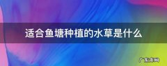 鱼塘种什么水草 适合鱼塘种植的水草是什么