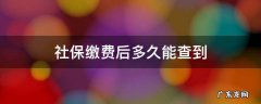 社保缴费后多久能查到余额 社保缴费后多久能查到