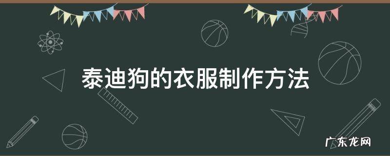 泰迪狗的衣服制作方法 泰迪幼犬衣服制作方法