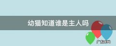 幼猫的什么行为算是认主人 幼猫知道谁是主人吗