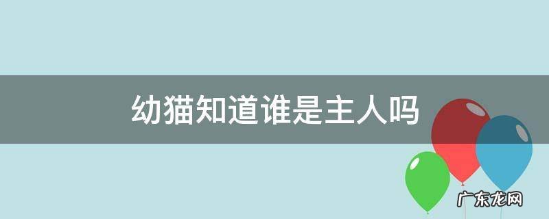 幼猫的什么行为算是认主人 幼猫知道谁是主人吗