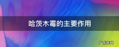 哈茨木霉作用机理 哈茨木霉的主要作用