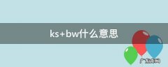 ks bw什么意思