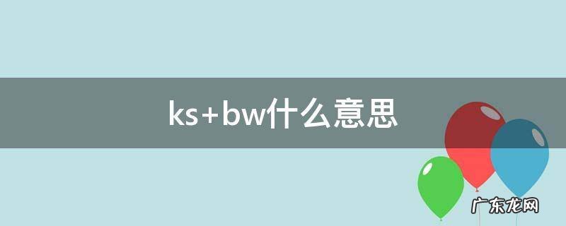 ks bw什么意思