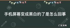 手机屏幕变成黑白的了是怎么回事 手机屏幕变成黑白的了是怎么回事?