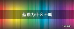 蓝猫为什么不叫 蓝猫为什么不叫话