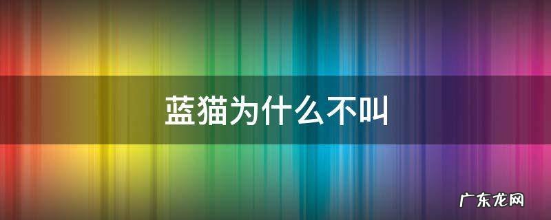蓝猫为什么不叫 蓝猫为什么不叫话