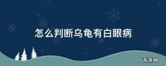 怎么判断乌龟有没有白眼病 怎么判断乌龟有白眼病