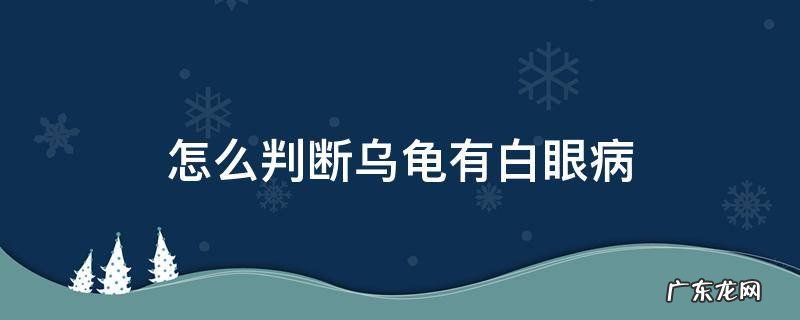 怎么判断乌龟有没有白眼病 怎么判断乌龟有白眼病