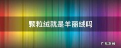 摇粒绒和羊丽绒 颗粒绒就是羊丽绒吗