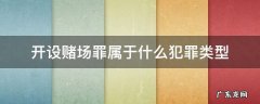 开设赌场罪属于什么犯罪类型 开设赌场罪属于哪一类