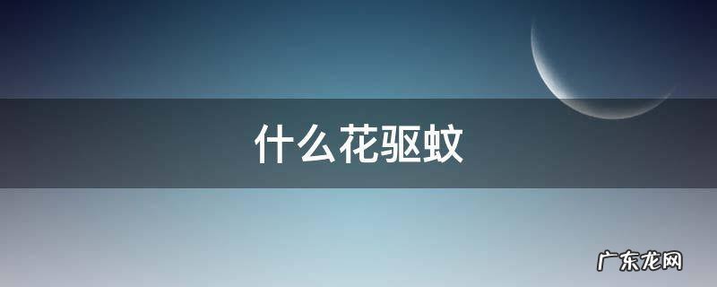什么花驱蚊 什么花驱蚊子效果最好