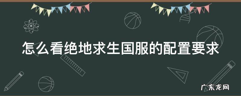 绝地求生国服在哪里 怎么看绝地求生国服的配置要求