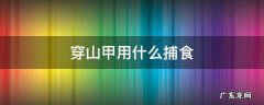 穿山甲用什么捕食 穿山甲用身体哪个部位进行捕食