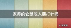 被家养仓鼠咬伤,需要打针吗? 家养的仓鼠咬人要打针吗