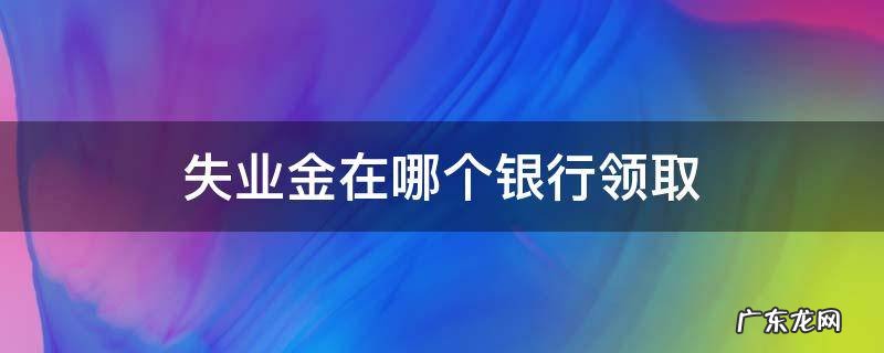 失业金在哪个银行领取 失业金从哪个银行领取