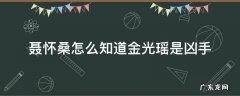 聂怀桑怎么知道金光瑶是凶手 聂怀桑是金光瑶,那金光瑶是谁