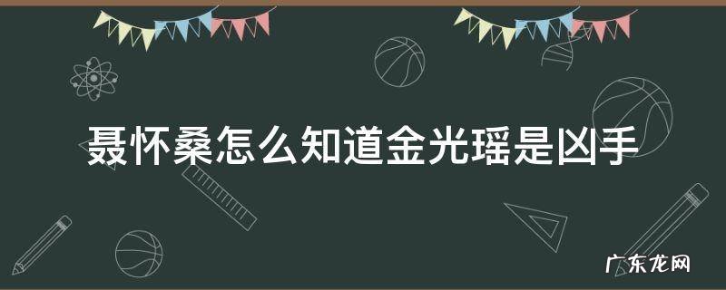 聂怀桑怎么知道金光瑶是凶手 聂怀桑是金光瑶,那金光瑶是谁