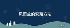 风雨兰的繁殖方法和注意事项 风雨兰的繁殖方法