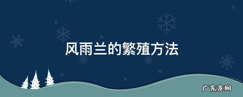 风雨兰的繁殖方法和注意事项 风雨兰的繁殖方法