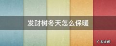 发财树冬天怎样保暖 发财树冬天怎么保暖