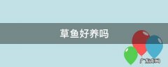 草鱼好不好养活 草鱼好养吗