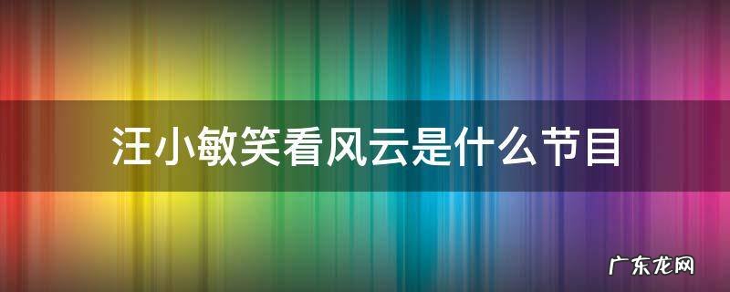 汪小敏笑看风云是什么节目 汪小敏笑看风云是哪一年
