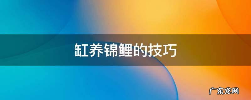 缸养锦鲤的技巧 缸养锦鲤五大技巧