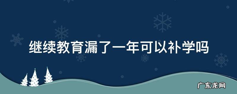 执业药师继续教育漏了一年可以补学吗 继续教育漏了一年可以补学吗
