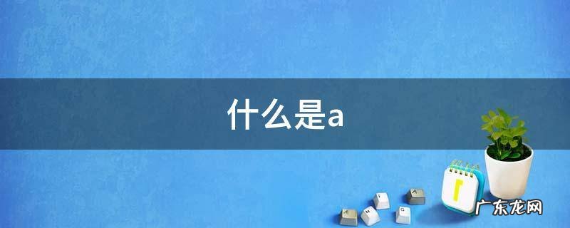什么是a 什么是api