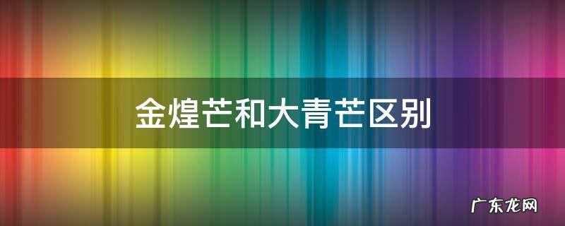 金煌芒和大青芒区别 大金煌和大青芒的区别