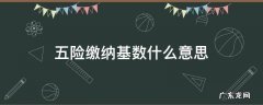五险缴费基数是 五险缴纳基数什么意思
