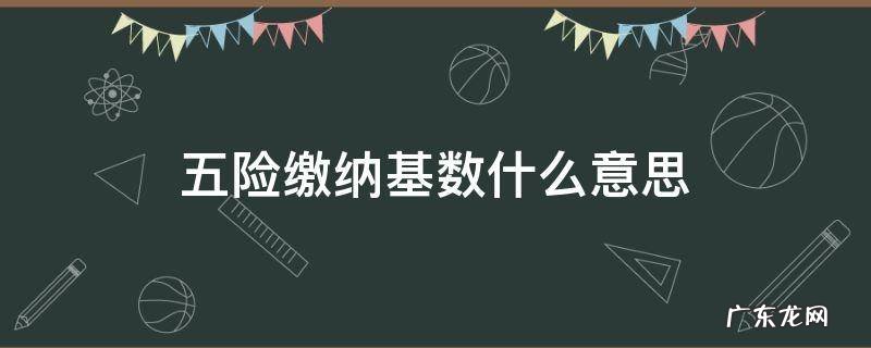 五险缴费基数是 五险缴纳基数什么意思
