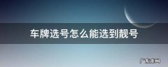 车牌选号怎么能选到靓号（车牌如何褆牛?
