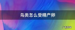 鸟类怎么受精产卵图片 鸟类怎么受精产卵