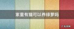 养猫咪的家庭可以养绿萝么 家里有猫可以养绿萝吗