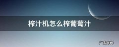 榨汁机怎么榨葡萄汁,去籽吗 榨汁机怎么榨葡萄汁