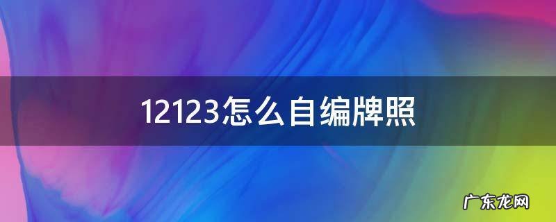 交管12123怎么自编车牌 12123怎么自编牌照