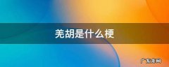 羌胡什么意思? 羌胡是什么梗
