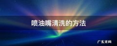 喷油嘴正确清洗方法 喷油嘴清洗的方法