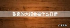 张良的大招会被什么打断 张良大招能被什么打断