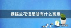蝴蝶兰花的寓意和花语 蝴蝶兰花语是啥有什么寓意