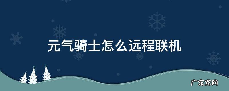 元气骑士怎么远程联机 元气骑士怎么远程联机教程