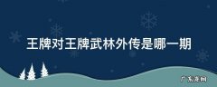王牌对王牌第几期武林外传 王牌对王牌武林外传是哪一期