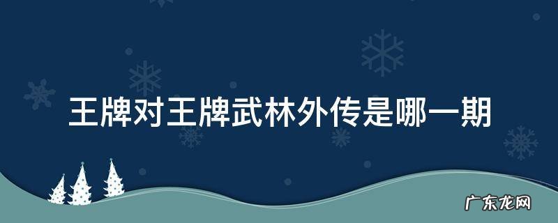 王牌对王牌第几期武林外传 王牌对王牌武林外传是哪一期