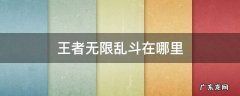 王者无限大乱斗在哪 王者无限乱斗在哪里