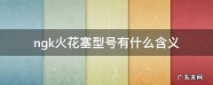 ngk火花塞型号有什么含义 NGK火花塞种类